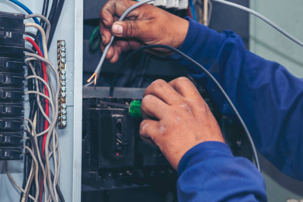 Best Electric Panel Repair  in Forrest, IL